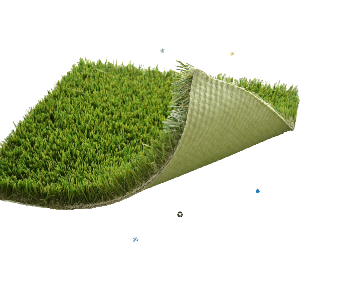 prolawn turf closeup