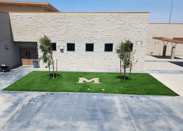 commercial turf for public spaces