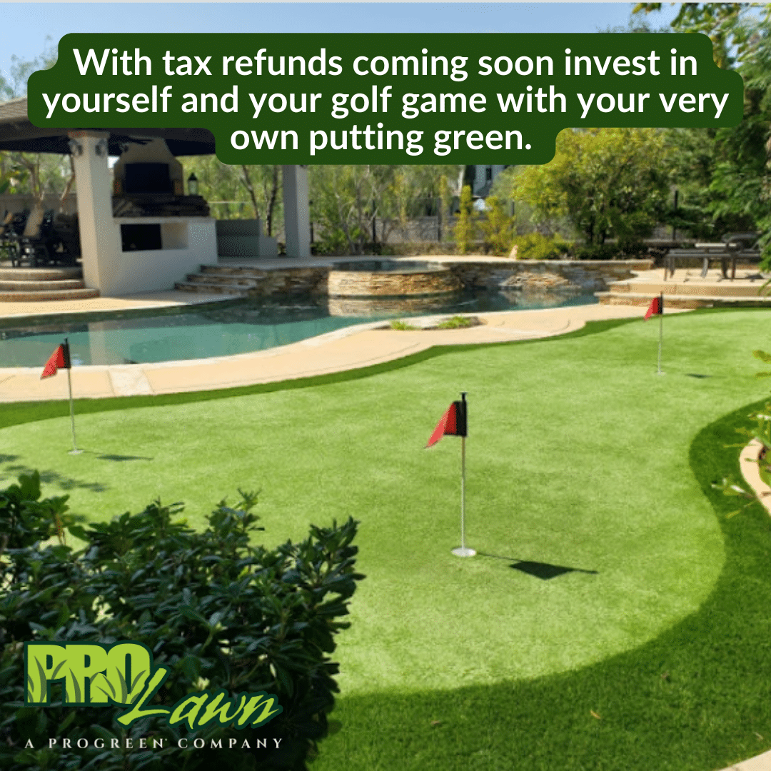 Use Your Tax Return to Buy Artificial Turf
